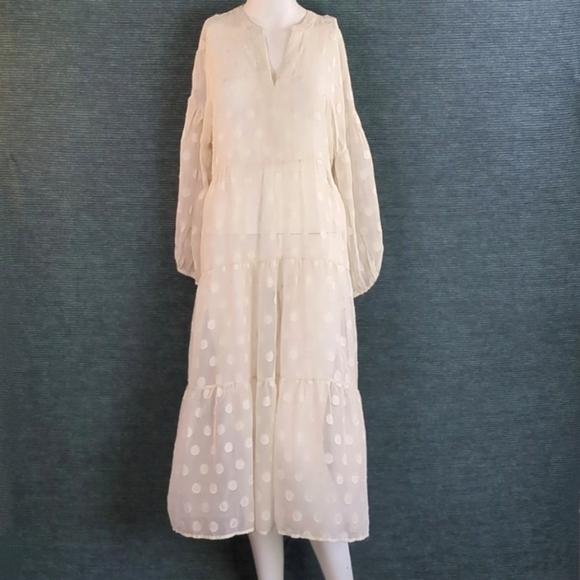 Moon River Sheer Polkadot Tiered Dress - Picture 2 of 13